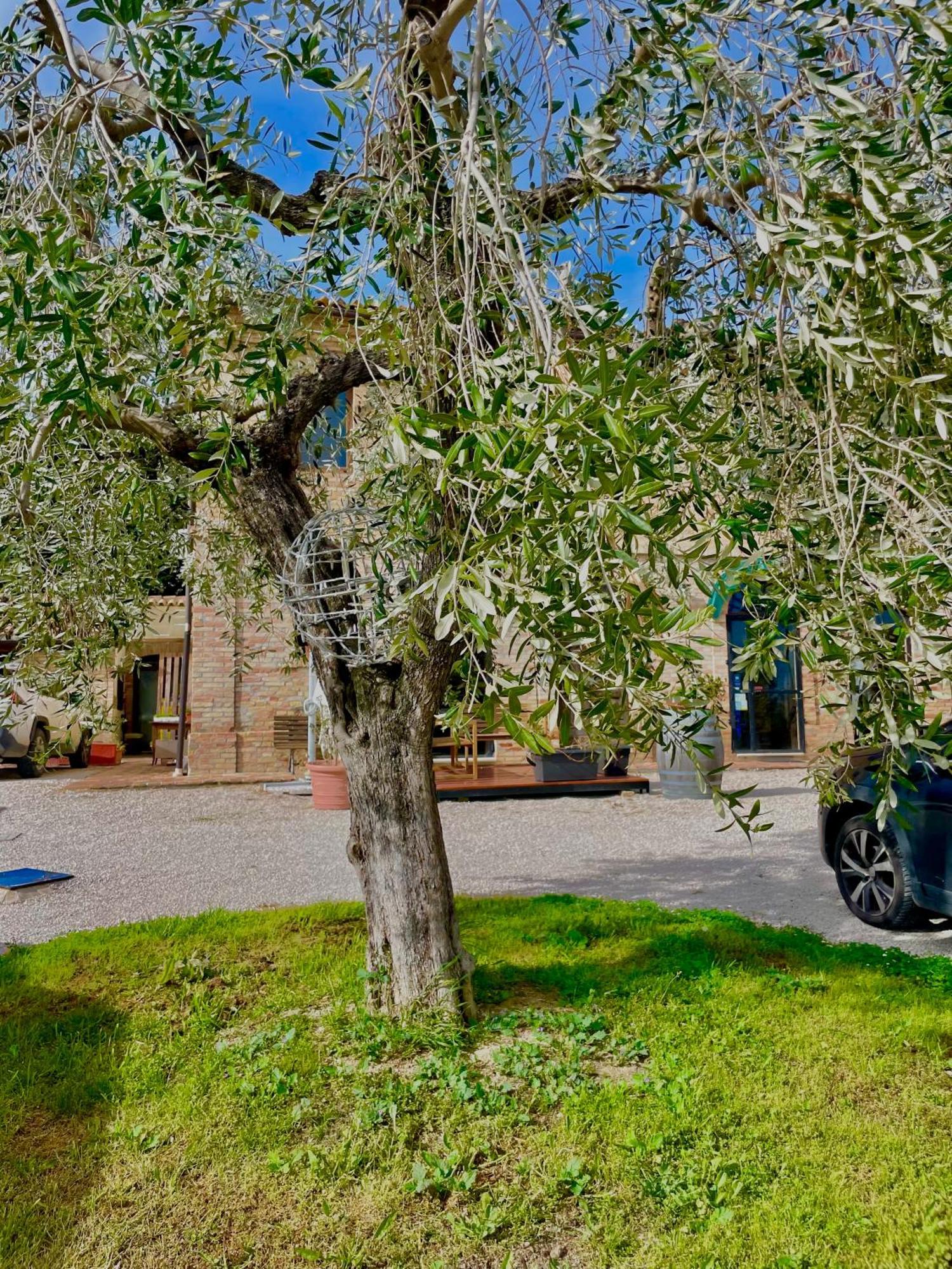 Masseria Tattoni - Residenza Di Campagna - Narramondo Villas Bellante Kültér fotó